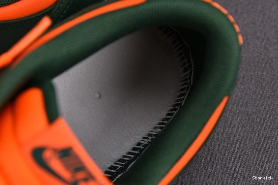 Low Miami Nike Dunk Hurricanes DD1391-300 0118